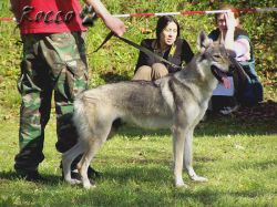 61_02aimy_osada_draklem04.jpg