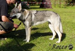 66_01genny_dakmat.jpg