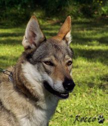 75_02daria_z_udoli_ticha04.jpg