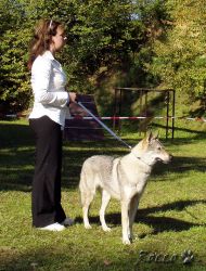 76_02lota_es05.jpg
