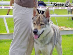 05_akar04.jpg