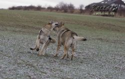 20091227_6878.jpg