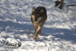 20100130_6958.jpg