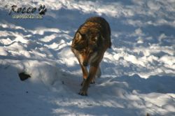 20100130_6967.jpg