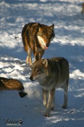 20100130_6968.jpg