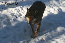 20100130_6973.jpg
