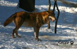 20100130_6978.jpg