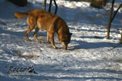 20100130_6982.jpg