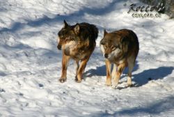20100130_6984.jpg