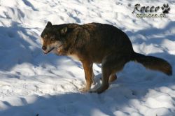 20100130_6998.jpg