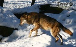 20100130_7002.jpg