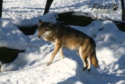 20100130_7009.jpg