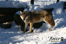20100130_7012.jpg