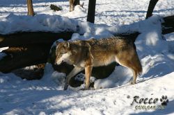 20100130_7013.jpg