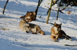 20100130_7032.jpg