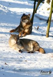 20100130_7035.jpg