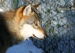 20100130_7039.jpg