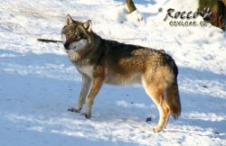20100130_7049.jpg