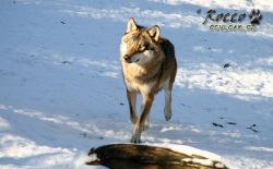 20100130_7053.jpg
