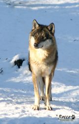 20100130_7056.jpg