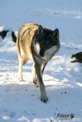 20100130_7058.jpg