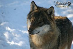 20100130_7066.jpg