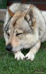 20100725_9689.jpg