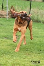 20100725_9695.jpg