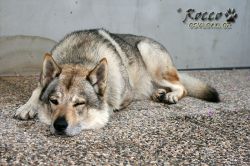 20100725_9699.jpg