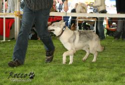 20100828_9974.jpg