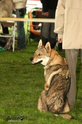20100828_9976.jpg