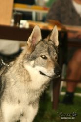 20100828_9981.jpg