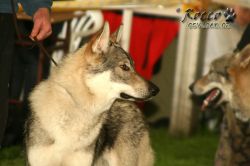 20100828_9983.jpg