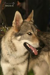 20100828_9984.jpg