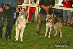 20100828_9985.jpg