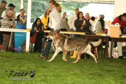 20100828_9999_1.jpg