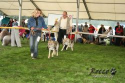 20100828_9999_10.jpg