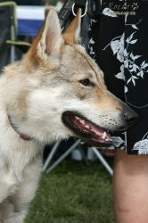 20100828_9999_100.jpg