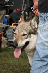 20100828_9999_101.jpg