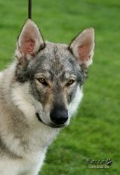 20100828_9999_114.jpg