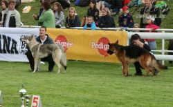 20100828_9999_115.jpg