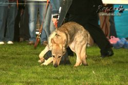 20100828_9999_16.jpg