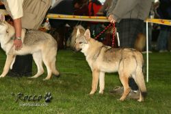 20100828_9999_17.jpg