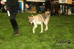 20100828_9999_21.jpg