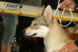 20100828_9999_22.jpg
