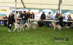 20100828_9999_27.jpg