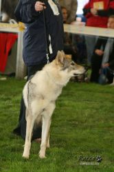 20100828_9999_30.jpg