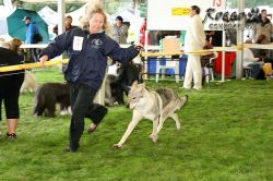 20100828_9999_33.jpg