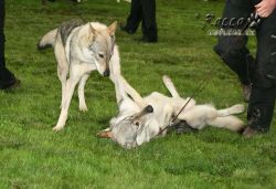 20100828_9999_37.jpg
