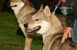 20100828_9999_4.jpg